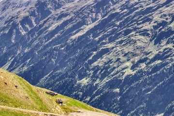 letni widok na dwa zbocza alpejskie odmiennie oświetlone - obrazy, fototapety, plakaty