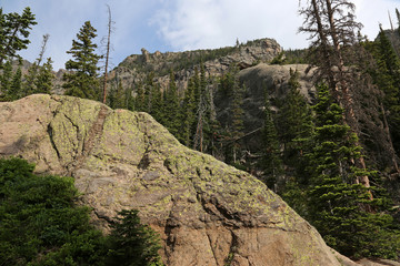 Moss on a huge granite rock, shot near Emerald Lake, shot in Rocky Mountain National Park, Colorado.