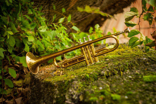 Jazz Trumpet Nature