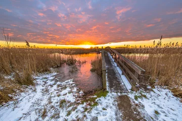 Photo sur Plexiglas Hiver Winter landscape pathway