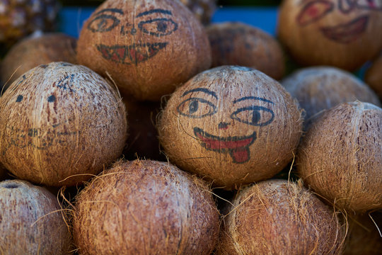 coconuts background in the market
