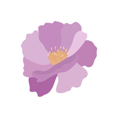 Flower bud. Flower. Plant. White background. Vector illustration. EPS 10.