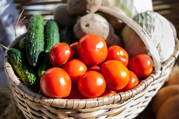 basket of fresh vegetables on the lawn near the house