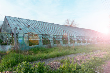 Greenhouse cultivation