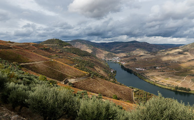 Douro - Portugal