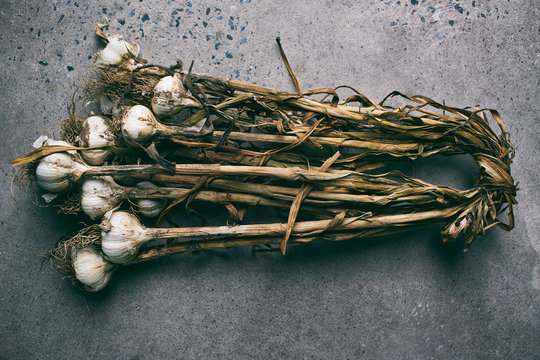 Bunch of dried garlic