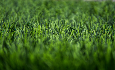 Artificial green grass texture background side view.