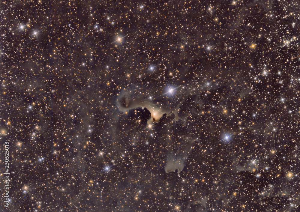 Canvas Prints imaged with a telescope and a scientific ccd camera