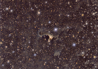 imaged with a telescope and a scientific CCD camera