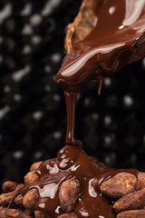 Chocolate and Spices