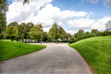 Fototapeta na wymiar Lawn, trees and path in summer park.