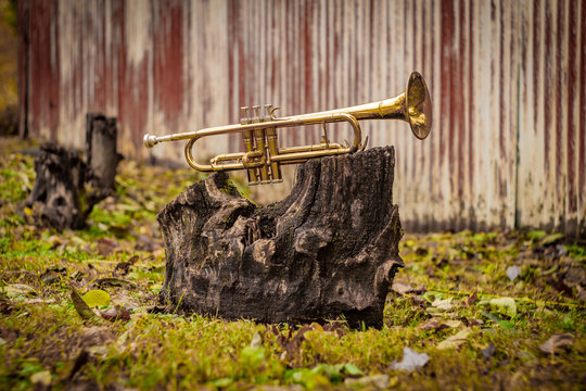Jazz Trumpet Nature