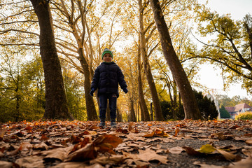 Kind , Junge, Herbst, Winter im Park am Wasser und Schloss. Große, alte Bäume am Graben