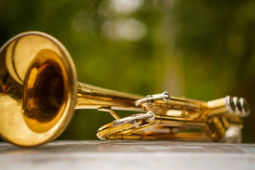 Obraz na płótnie Canvas Jazz Trumpet Nature