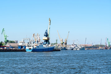 Fototapeta premium seaport, crane in port, concept of shipping