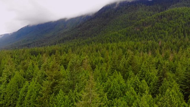 Aerial, rising pan, drone shot, over a road and green forest, in a valley, between mountains, in Golden ears provencial park, in British Columbia, Canada