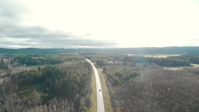 Aerial, tilt, drone shot, of a car driving on a dark, asphalt road, between pine trees and leafless, birch forest, sun flares, on a sunny autumn day, in Juuka, North Karelia, Finland
