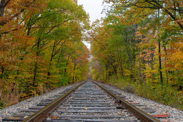 Obraz premium Railway tracks into the fall trees