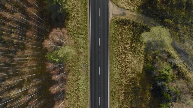 Aerial, rising, top down, drone shot, above a dark, asphalt road, between pine trees and leafless, birch forest, on a sunny autumn day, in Juuka, Pohjois-Karjala, Finland
