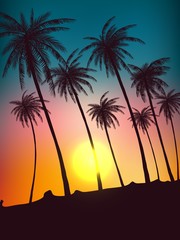 Row of tropic palm trees against sunset sky. Silhouette of tall palm trees. Tropic evening landscape. Gradient color. Vector illustration. EPS 10