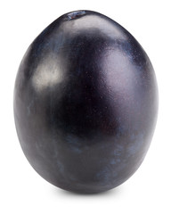 Plum isolated on white