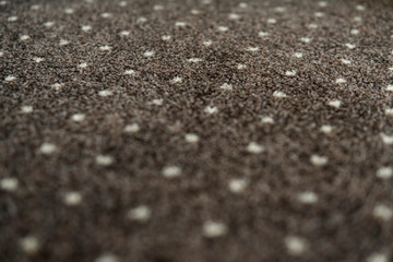 Brown carpet with a white dots texture. Indoor carpeting shoot in daylight.