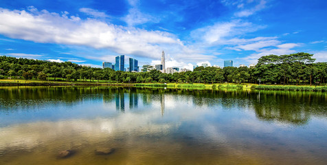 Fototapeta premium Krajobraz miejski w Shenzhen Central Park