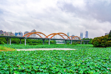 Urban Landscape of Honghu Park in Shenzhen