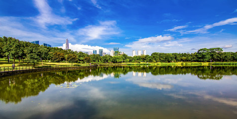 Fototapeta na wymiar Urban Landscape of Shenzhen Central Park