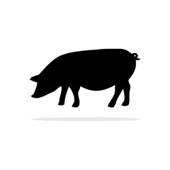Pig icon. Vector concept illustration for design.