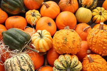 Autumn Decoration pumpkins