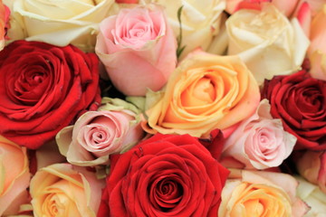 Mixed pink roses