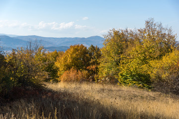 Obraz premium Amazing Autumn Panorama of Cherna Gora (Monte Negro) mountain, Pernik Region, Bulgaria