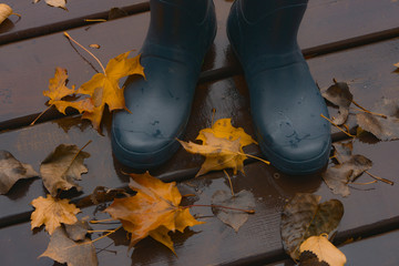 Rubber boots on wet wood
