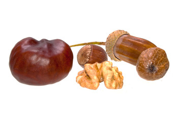 nut isolated on white background