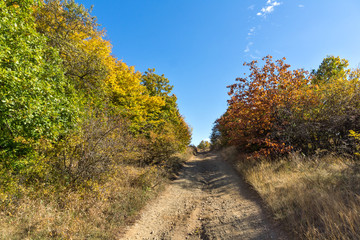 Amazing Autumn Panorama of Cherna Gora (Monte Negro) mountain, Pernik Region, Bulgaria