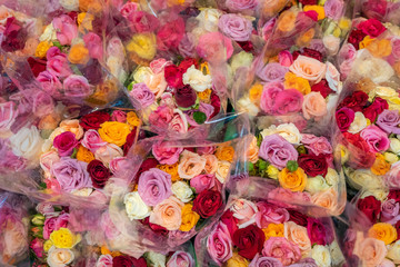 Close up colorful rose in flower market