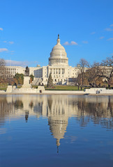 Fototapeta premium Back of the United States Capitol building and reflecting pool vertical