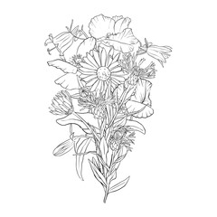 vector drawing background with flowers