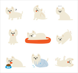 Obraz premium A variety of pose sets in Maltese. flat design style vector graphic illustration.