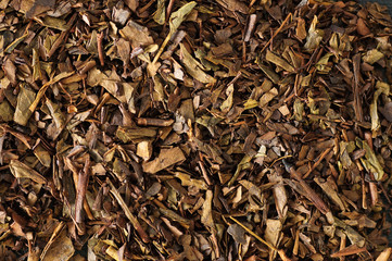 dry leaves of japanese hoji tea