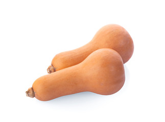 Butternut squash isolated on white background