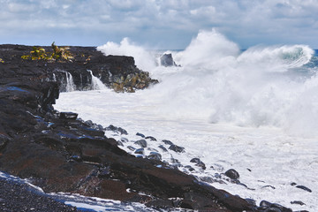 Crashing waves on Lava Rock Cliffs in Hawaii