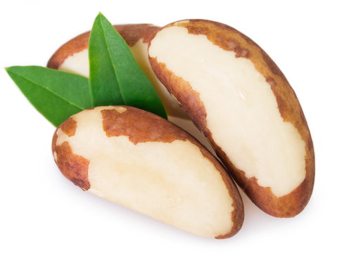 Brazil nut on white background