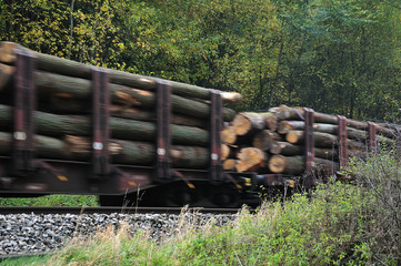 freight train with tree trunks passing forest