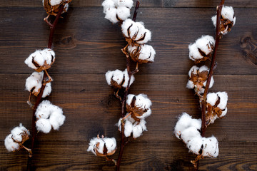 Cotton sorce. Collect cotton concept. Cotton plant with white flowers, natural view on dark wooden background top view