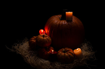 Calabazas de halloween diversas con velas 1