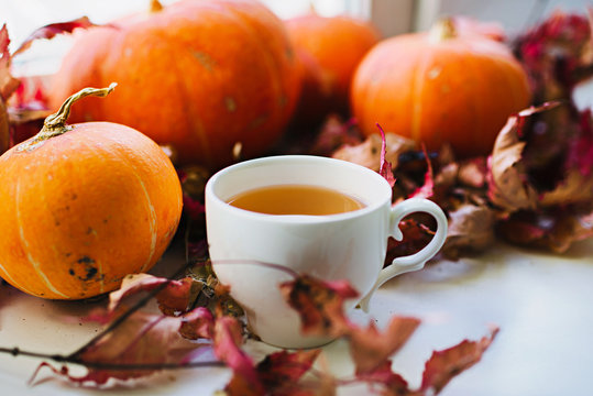 cup of tea and pumpkin background