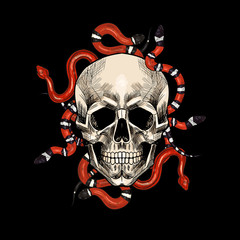 skulls with snakes and roses. Hand drawn. Vintage style