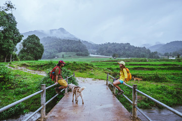 Lover asian man asian women travel nature. Walking a photo the rice field and stop take a break relax on the bridge at  ban mae klang luang in rainy season.